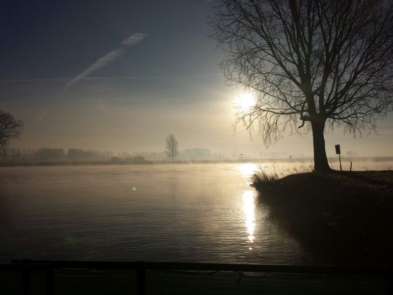 NWK 2014 062.jpg